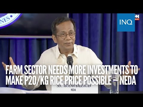 Farm sector needs more investments to make P20/kg rice price possible — Neda