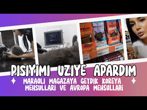 PISIYIM HAMILEDIR ? & KOREYA VE AVROPA MEHSULLARI  | Gundəlik VLOG #11