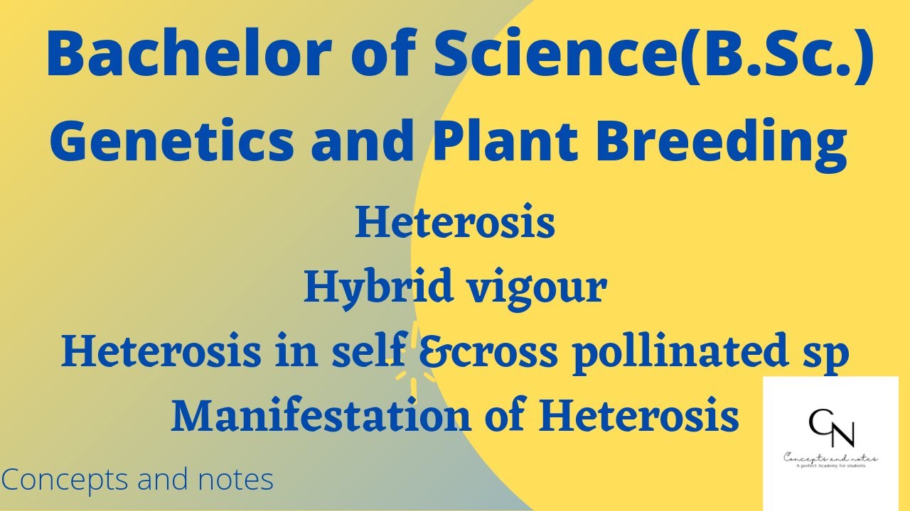 Heterosis || Hybrid vigour || Outbreeding || Manifestation of Heterosis ||