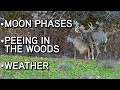 Deer Hunting MYTHS And FACTS!! | Moon Phases | Peeing In The Woods | Weather