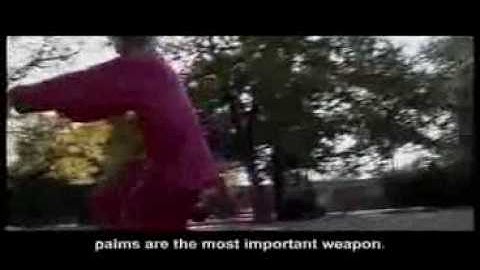 八卦掌 - Eight Diagram Boxing.avi