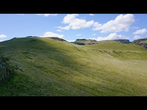 Golden Eagles of the Owyhee Front