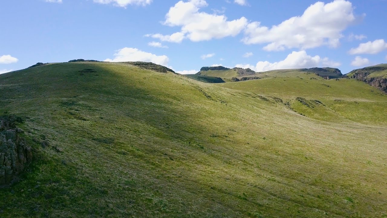 Golden Eagles of the Owyhee Front YouTube