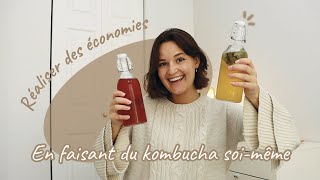 J'apprends à faire mon propre Kombucha en 15 jours!! Tout savoir pour faire son kombucha soi-même 💜