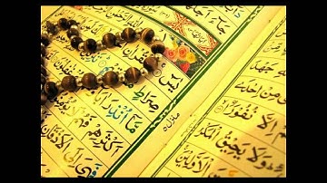 سورة يــــس بصوت القاري هاني الرفاعي