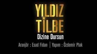 Yıldız Tilbe Dizine Dursun Resimi