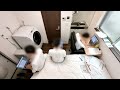 A Day in the Life of a Micro Apartment - 7sqm/75sqft