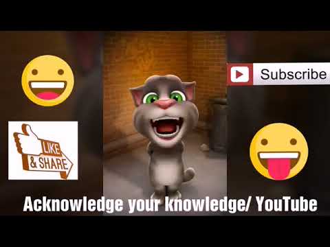 Bihar masti - YouTube