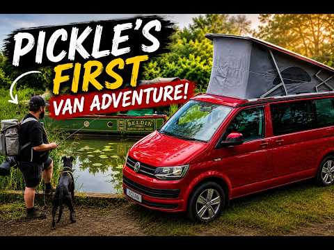 My Rescue Dog's First Ever Van Adventure