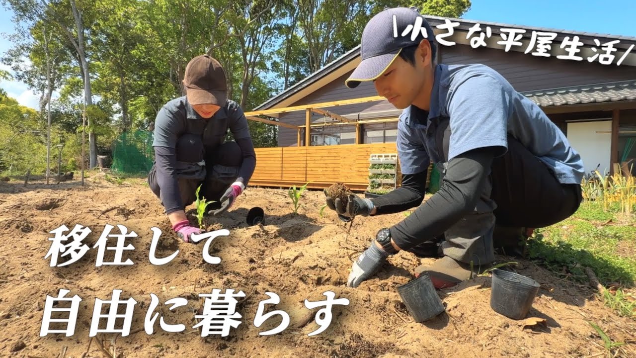 仕事だけの人生は引退移住して自由に生きる30代夫婦の日常/趣味もたくさん出来ました【移住137】