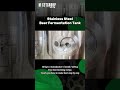 Stainless steel fermentation tanks improve brewing efficiency in small batch production