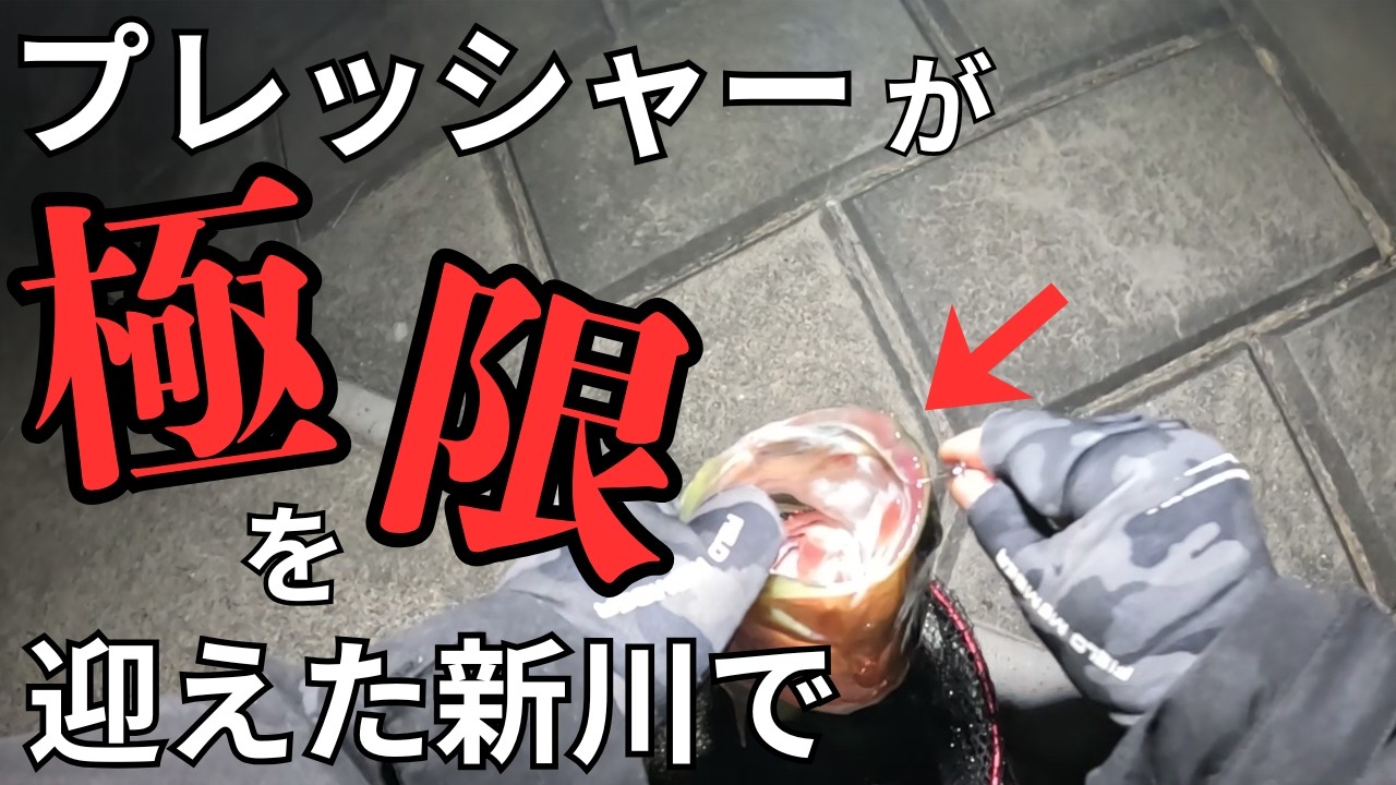 【霞ヶ浦 バス釣り】頼りになるのはやっぱりこの黄金コンビ