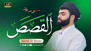 Surah Qasas - Peshawa Kurdi | سورة القصص كاملة بيشةوا قادر الكردي #رمضان_2022