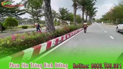 Dịch vụ diệt côn trùng Bình Dương- Phun diệt muỗi- diệt kiến- diệt gián Diệt Mối Tận Gốc Thăng Long