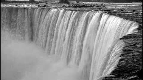 The mystical march of human degradation - NO ONE