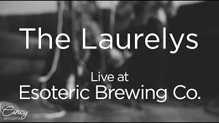 CINCY SESSIONS: The Laurelys - Honeydripper | LIVE at Esoteric Brewing Co.