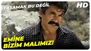 Yaşamak Bu Değil | Gülbahar'ın Müşterileri, İbrahim'i Sıkıştırıyor | Türk Filmi