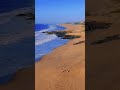 #beachfishing #drone #fishing
