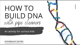 HOW TO MAKE A DNA MODEL USING PIPECLEANERS. PROJECT DEMONSTRATION 
