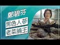 草地狀元-古法快失傳老菜脯(20170123播出)careermaster / Dried Radish
