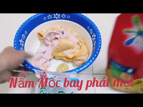 Video: Cách Loại Bỏ Nấm Mốc Khỏi Vải