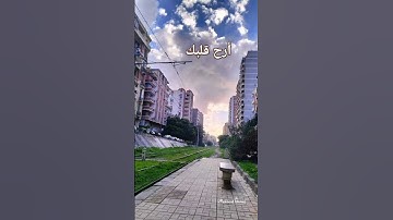أرح قلبك #تلاوات #القرآن_الكريم #قرآن #quran #تلاوة_هادئة #تلاوة_خاشعة #المنشاوي رحمه #الله