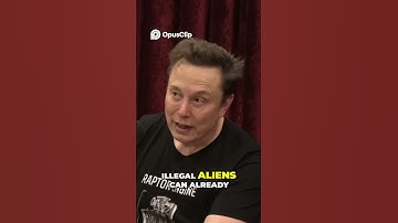 Elon Musk EXPOSES Illegal Alien Voter Fraud