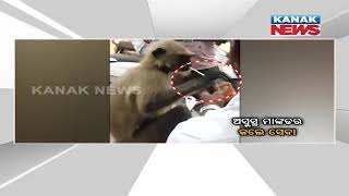 Huamnity At Its Best | Money Seeks Treatment And Receives Duly From Human In Cuttack