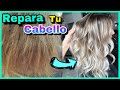 COMO REPARAR CABELLO DAÑADO CON ESTA MASCARILLA CASERA | NatyGloss