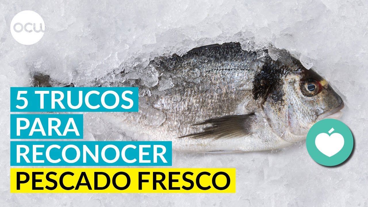 Cómo saber si un pescado es fresco o no