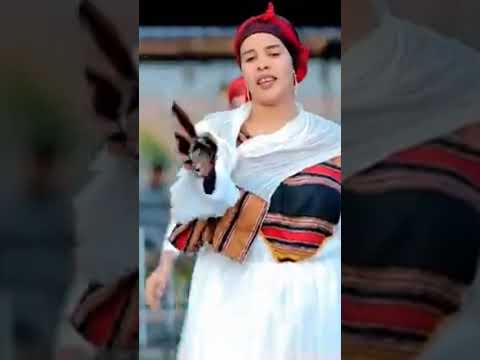 DHAANTO CUSUB MUXIYADIIN SHAAHID IYO FILSAN QURUX