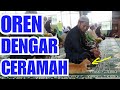 MASYAALLAH : KUCING OREN DENGAR CERAMAH TTG KUCING? Lihat Reaksinya