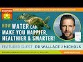 Why Water Is Good for You (And Can Change Your Life!) - The Importance of Water | Wallace J Nichols