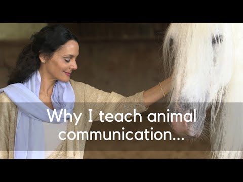 Why I Teach Animal Communication