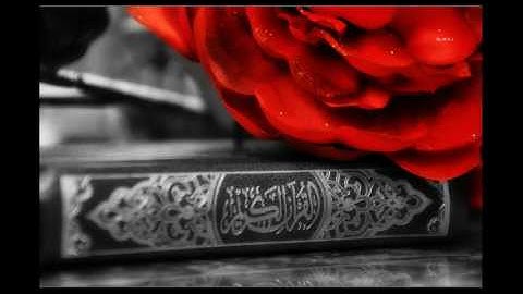 سورة مريم من الآية 77- 95 للقارئ عبد الرحمن العوسي