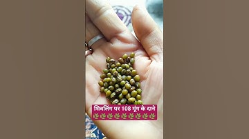 शिवलिंग पर 108 मूंग के दाने का उपाय #pradeepmishrajidhankeupay