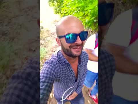 #Drakotrypa :))