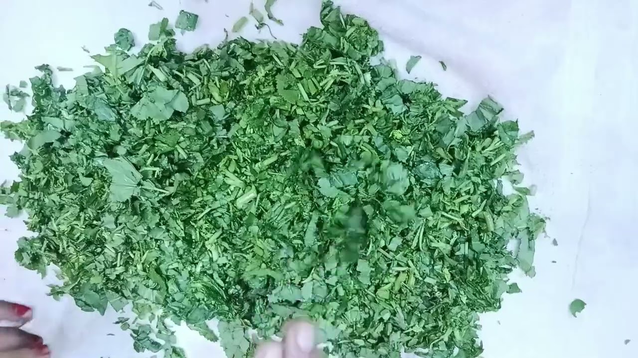 हरी सरसों को साल भर बिना फ्रिज कैसे रखें | Dry Mustard Leaves Storage | Sarson Store Tips