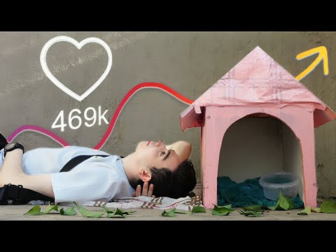 چطور با یه گربه الگوریتم اینستا رو شکست دادم