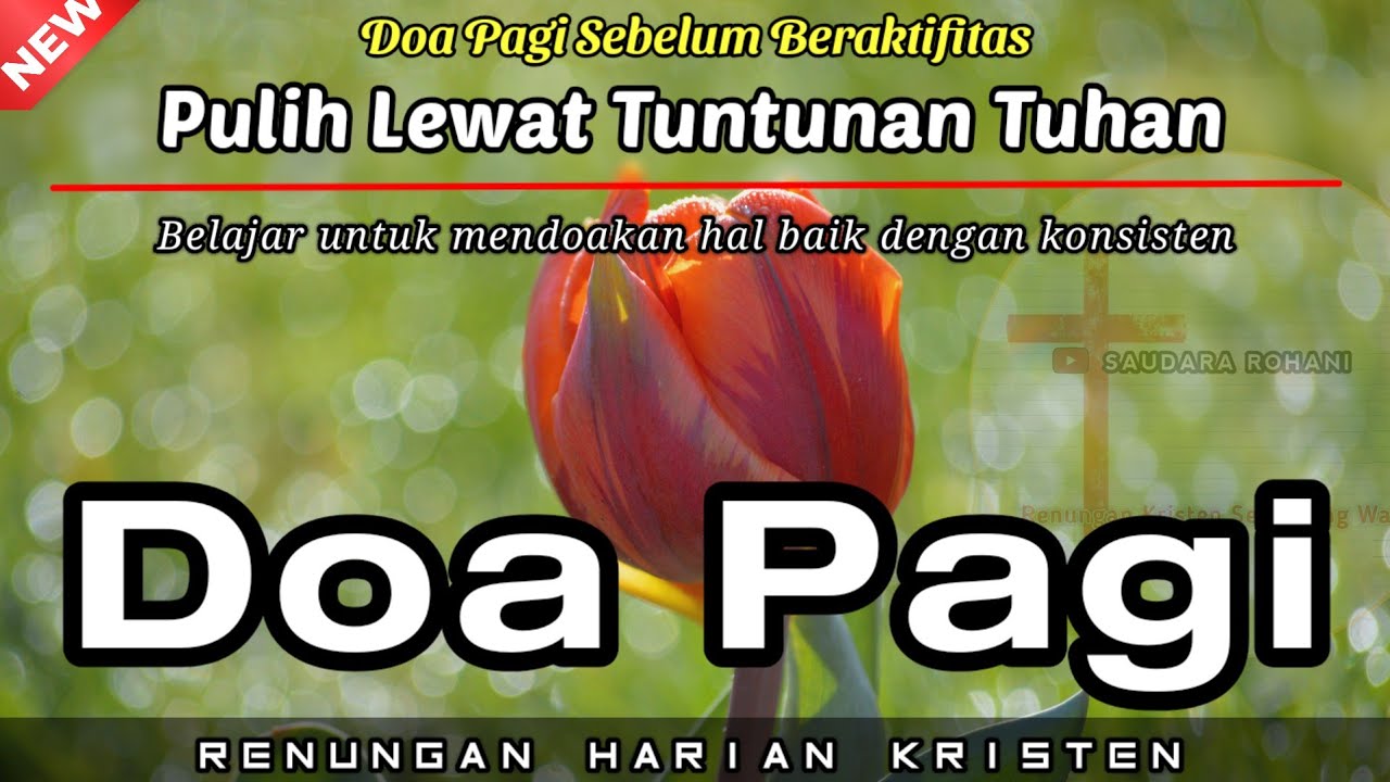 Renungan Pagi Kristen - Doa Pagi - Suara Injil - Pohon Kehidupan - Saat Teduh Pagi Katolik