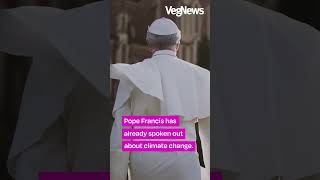 Catholic Church Could Cut "Millions of Tons" of CO2 Emissions With Meat-Free Fridays