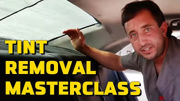 Stop Scraping! This Is How You Really Remove Back Window Tint 🔪