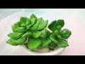 ABC TV | How To Make Succulent Plant - Craft Tutorial