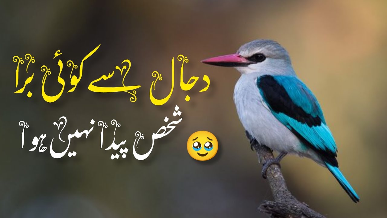 دجال سے کوئی برا شخص پیدا نہیں ہوا 😡