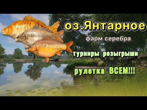 Видео: Янтарочка/Ахтуба, турниры, рулетки всем!