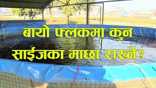 बायो फ्लक प्रविधिबाट माछा उत्पादन....Biofloc Fish Farming in Nepal