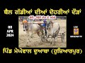 Live mehgowal doaba  hoshiarpur  ox races  08 apr 2024