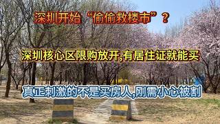深圳放大招！“偷偷救楼市”? 有居住证就能买核心区房，这是救刚需还是给炒房客递刀子？