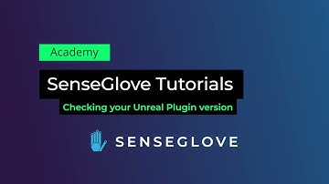 SenseGlove UE Tutorial: Finding your Plugin Version