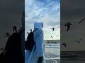 Axel: morn #berandayoutube #jedagjedug #fypシ #trendingshorts #pinterest #harusberanda #rp #jrpg